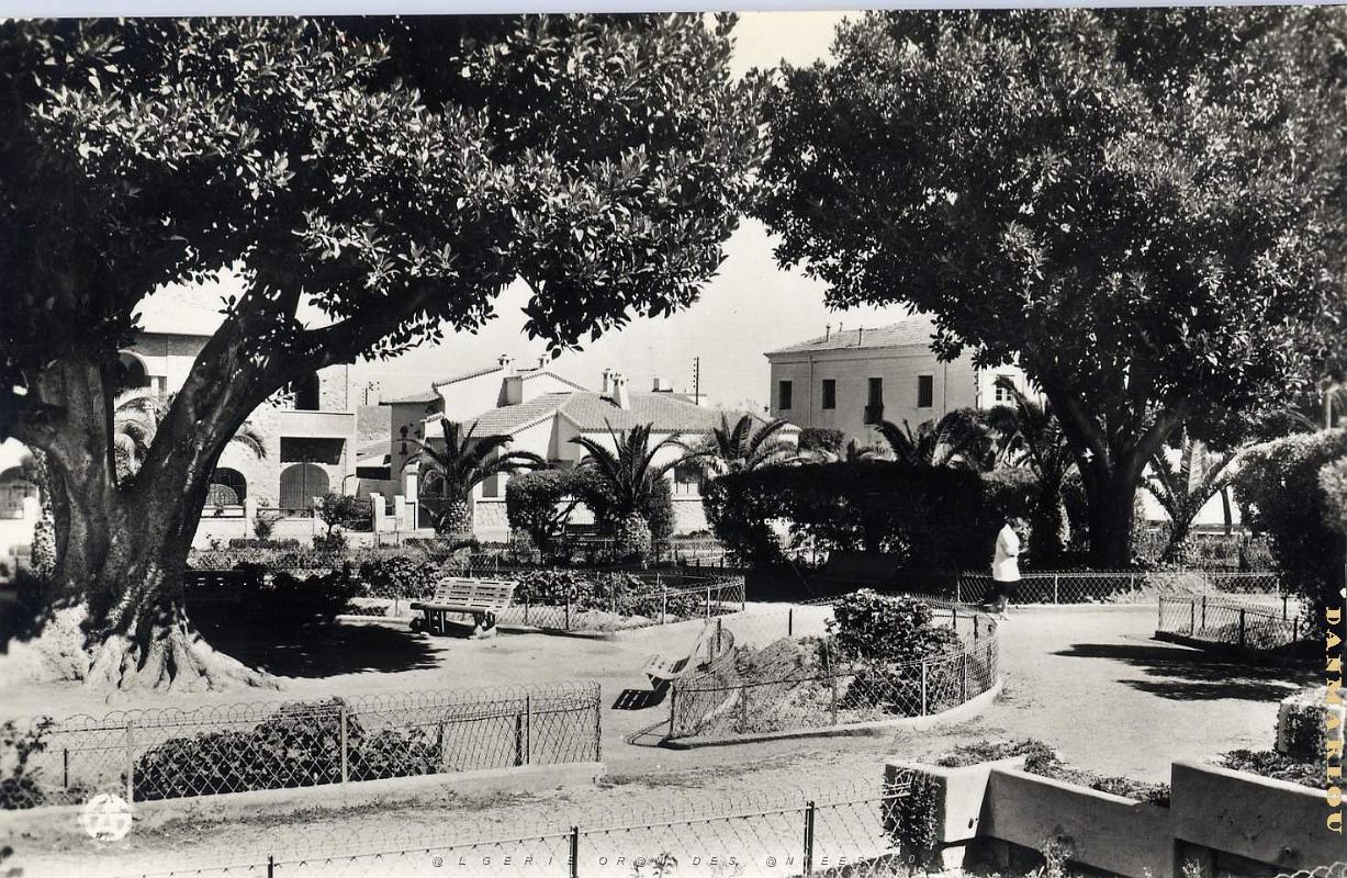 Relizane 504- Jardin public COLLECTION DES AMIS DE ND DE SANTA CRUZ.jpg